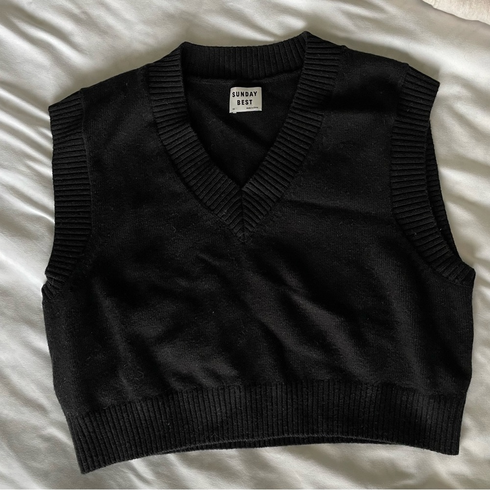 Aritzia Sunday Best Winston Sweater Vest